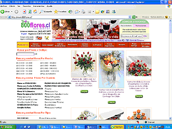 Ir al Dpto. de Ramos y flores para Novia de 800flores.cl 